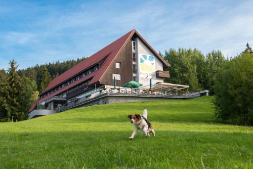Horni Becva Hotel | Hotel Duo