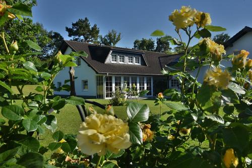Frankenberg House | Hotel Ederstrand