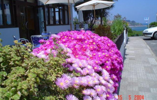 Luanco Hotel | Hotel Los Laureles