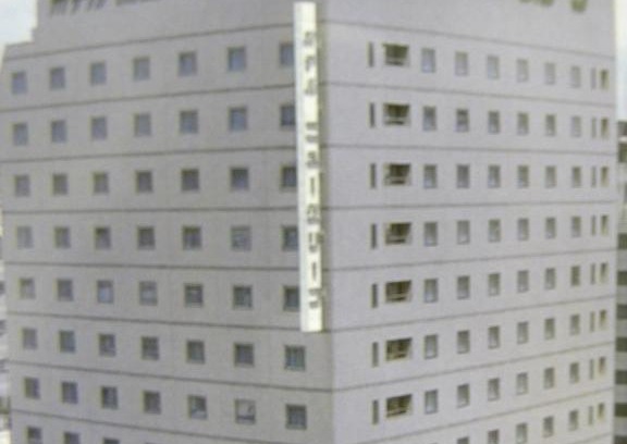Ueno Hotel | Hotel New Green Okachimachi