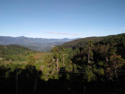 Haputale Hotel | Hotel Olinka