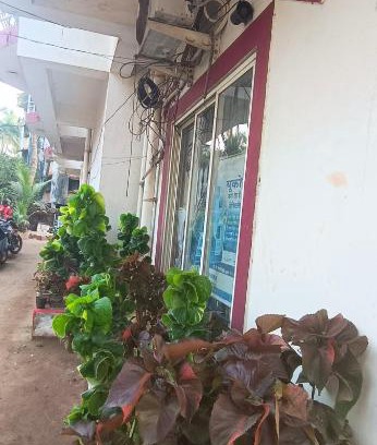 Devbag Hotel | Hotel S King