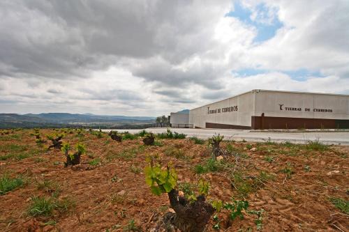 Cebreros Hotel | Hotel TIERRAS DE CEBREROS