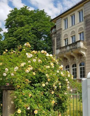 Seevorstadt-Ost/Grosser Garten Hotel | Hotel-Villa Lalee