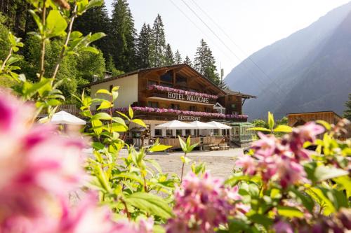 Neustift Im Stubaital Hotel | Hotel Waldcafe