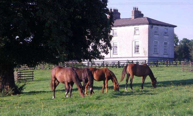 Colehill House | House ∙ 4 guests