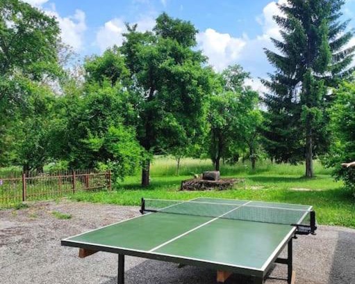 Mali Radic Apartment | House Bosko Best place for everyone