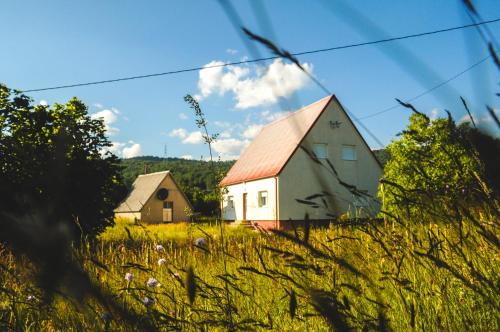 Savnik House | House Duzi