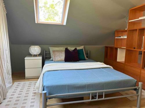 Jurmala House | House in Pine forest Asari
