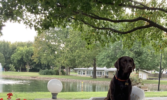 Emporia House | House, no steps, on a lake