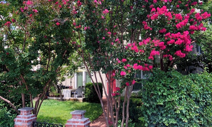 Capitol Hill House | House of the Artists on Capitol Hill - Charming 3 Bedroom Home + Private Garden