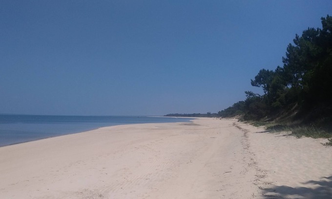 Carvalhal Condo | House on the beach Soltroia