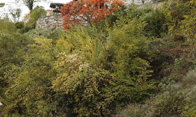 Delchevo House | House with garden in authentic mountain village, with plenty of peace, nature and clean air.