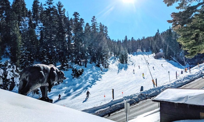 Tahoe Village Cabin | 🎿 Huge Ski In/Out with Best Views @ Heavenly! 🐻 The Bear on the Roof - 16ppl