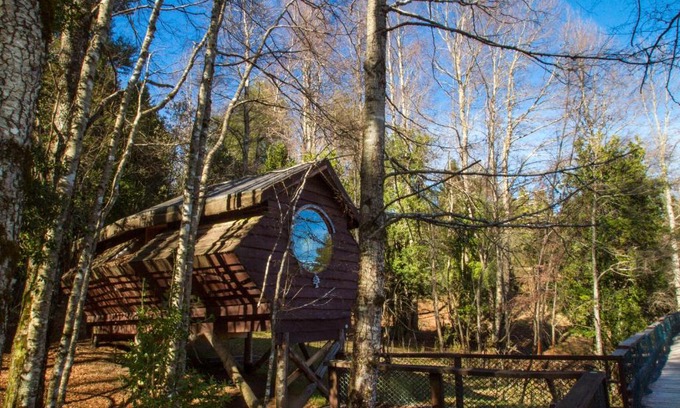 Neltume Cabin | Huilo Huilo Canopy Village