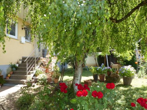 Herbolzheim Apartment | Hummelloft
