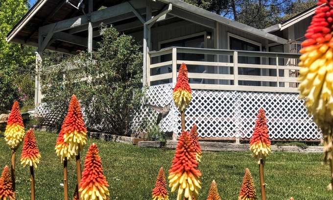 Cedar Ridge Cottage | Hummingbird House - Scenic Peaceful Foothills Getaway only minutes from downtown