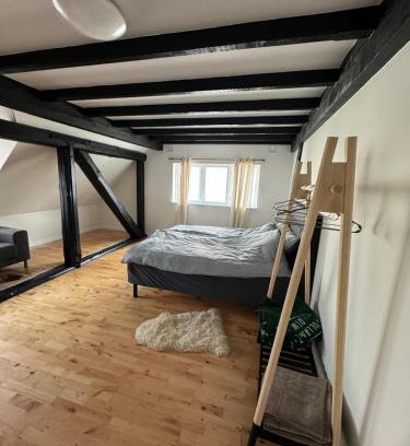 Espergaerde Apartment | Hyggelig lejlighed nær Espergærde strand
