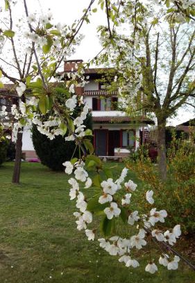 Cavour Bed & Breakfast | I 99 ulivi