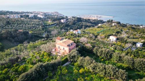 Contrada Convento Bed & Breakfast | I Frangiventi