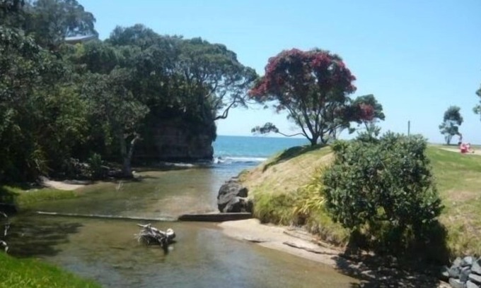 Red Beach Cabin | Iconic Kiwi Bach with sea views and a 2 minute walk to the beach.