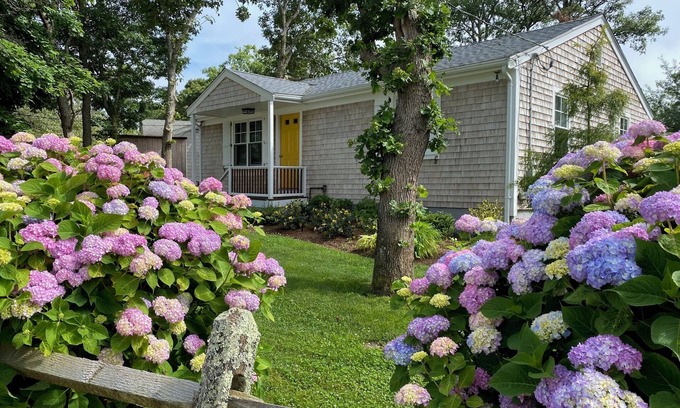 Edgartown House | Ideal Contemporary, Walk to Town, Central AC, 100% Renewable Energy