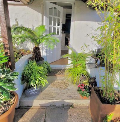 Truro House | Idyllic Cornish Cottage, Superking bed, private garden dogs welcome