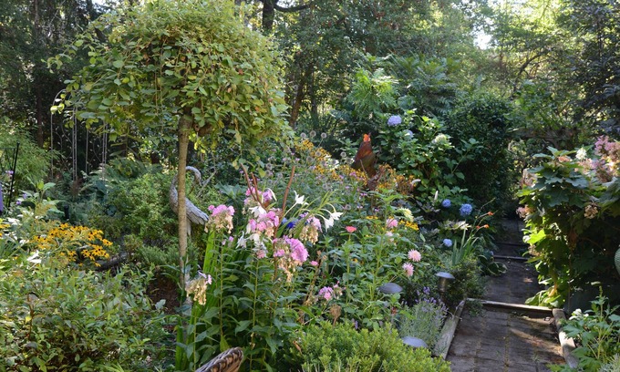 Saanich West House | Idyllic Hideaway for Two .or one!