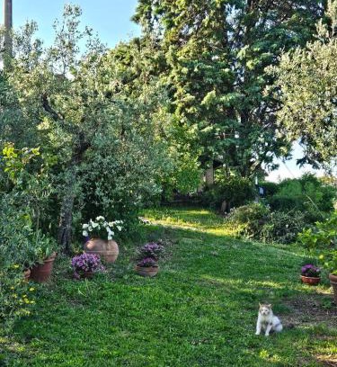 Amelia House | Il casaletto di Simeone