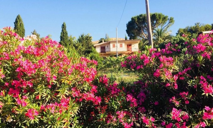 Santa Ninfa Bed & Breakfast | Il Ficodindia
