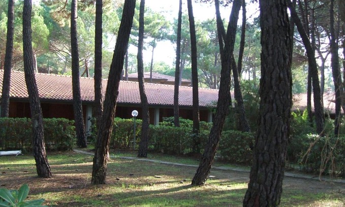 Principina a Mare Apartment | Il Gamberetto