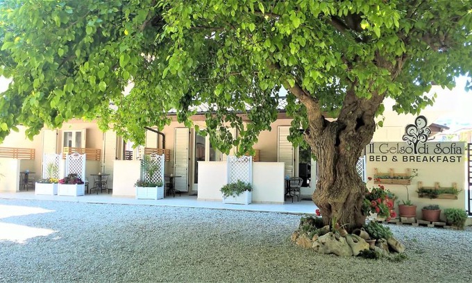 Tortoreto Lido Bed & Breakfast | Il Gelso di Sofia B&B