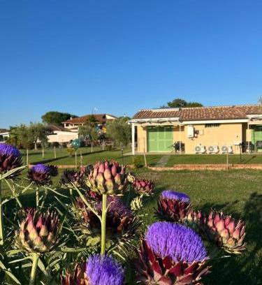 Grosseto House | Il giardino di nunzia