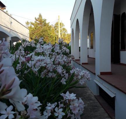 Marina di Mancaversa Apartment | Il Lentisco
