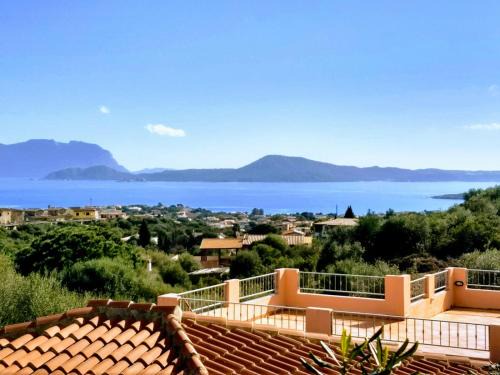 Pittulongu House | Il mirto in fiore