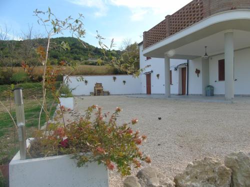 Selva di Altino House | il pettirosso