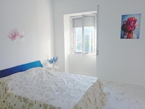 Isernia Apartment | Il piccolo zaffiro blu - Isernia