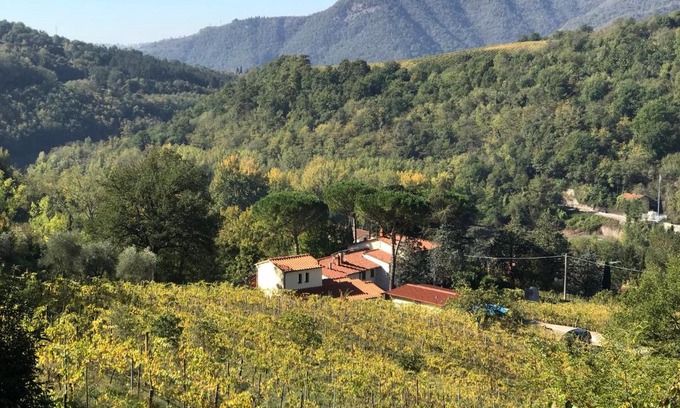 Rufina Apartment | Il Poggiolo ai Casini