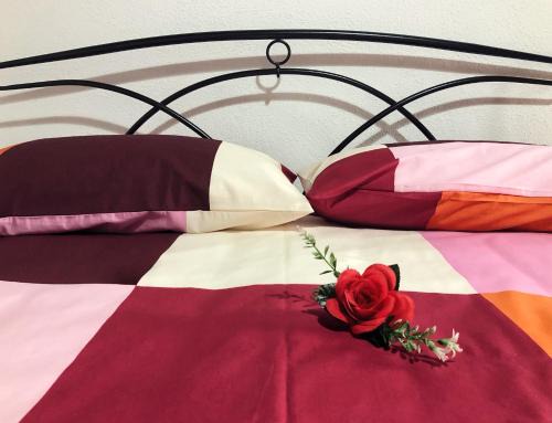 Ronciglione House | Il Rifugio delle Rose