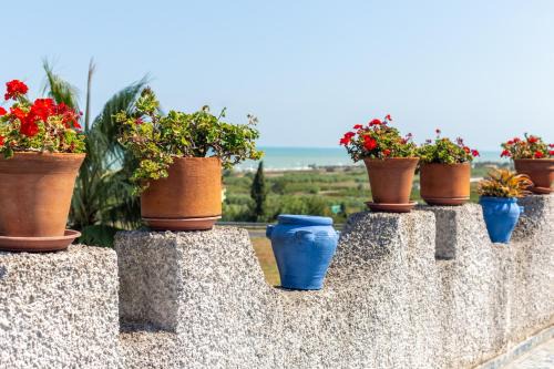 Casalbordino House | Il Tremolar Della Marina