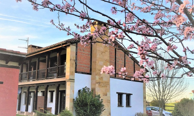 Rumoroso Cottage | Imagine a wonderful environment, in the middle of nature and a stone's throw from the beach.