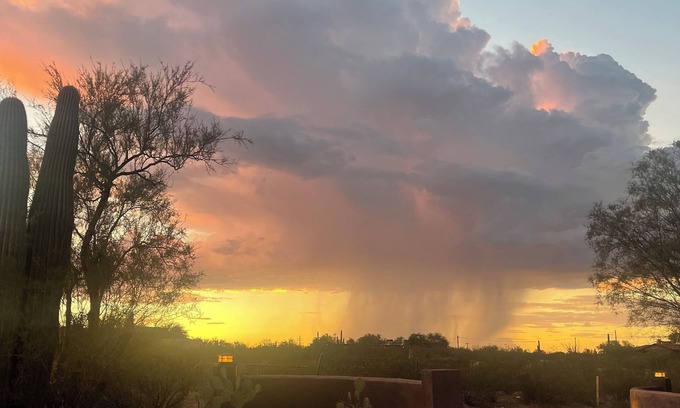 Tucson House | Immaculate guesthouse in the NW Tucson desert.yet close to everything!