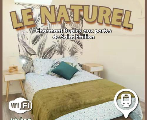 Saint-Medard-de-Guizieres Apartment | Immeuble Centre Ville