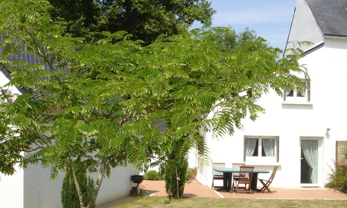 Moelan-sur-Mer House | In Moëlan sur mer, near the wild coast,