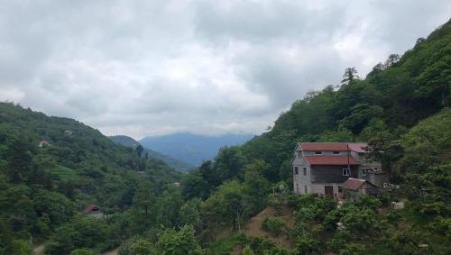 Khelvachauri House | In the Forest