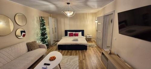 Aviatiei Apartment | Ina Herastrau