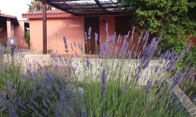 Alghero House | INCHELOS - Quality Wellness Holidays