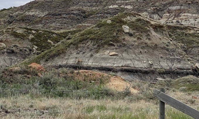 Drumheller House | Incredible views of Drumheller Hills