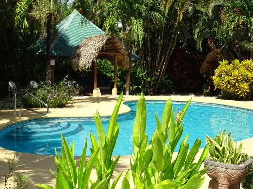 Mal Pais Hotel | Indigo Yoga Surf Resort