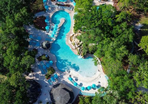 Palm Harbor Resort | Innisbrook Resort